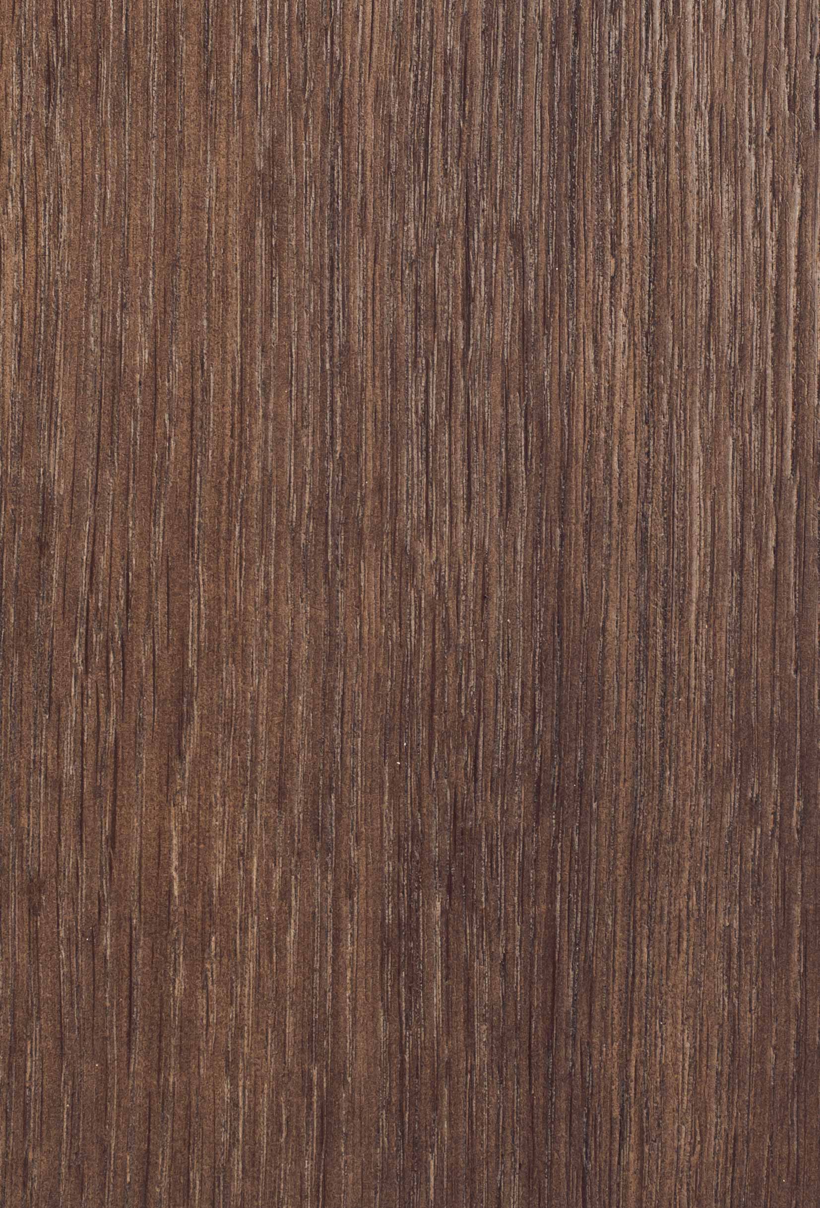 Дуб бургундский