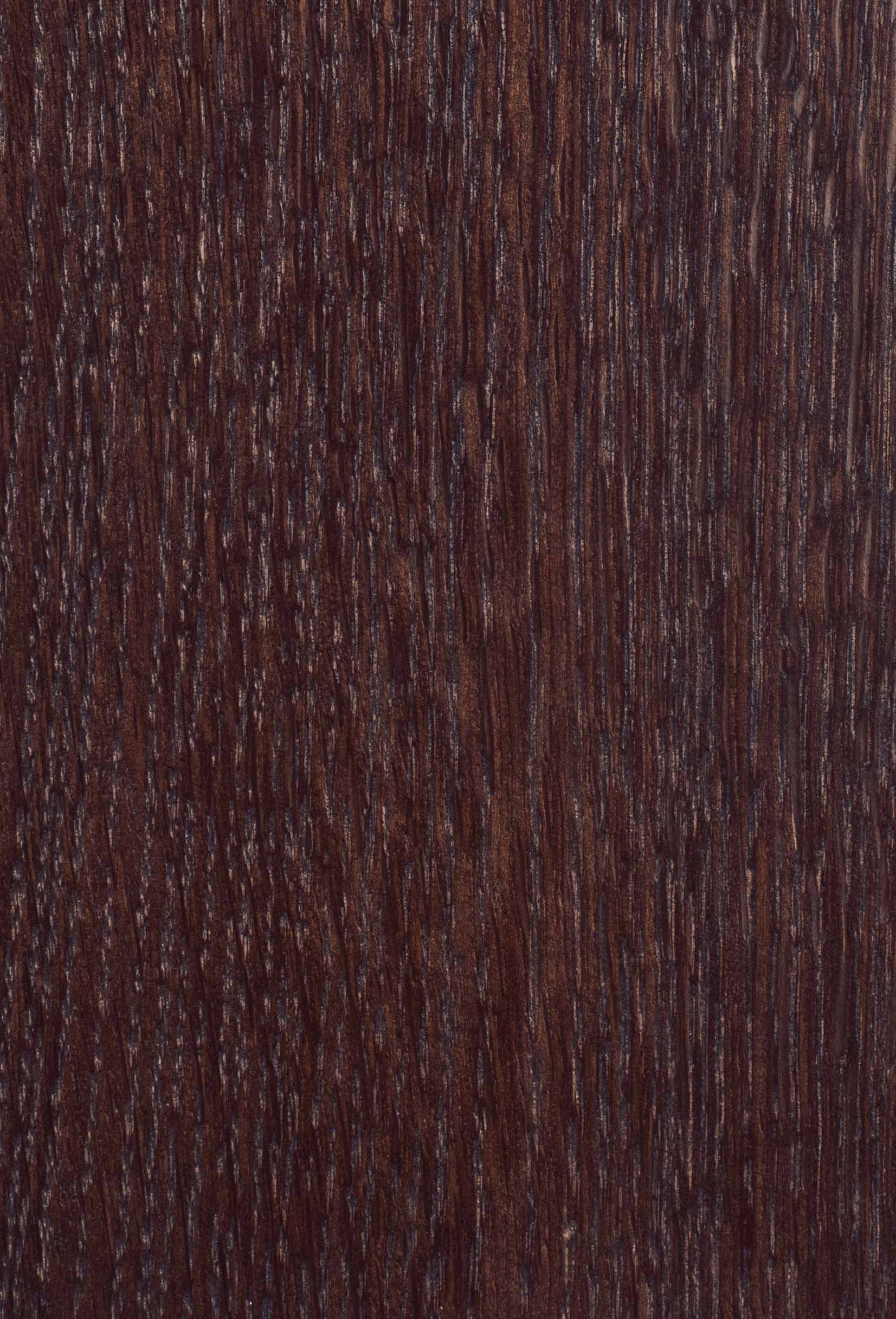 Дуб мореный