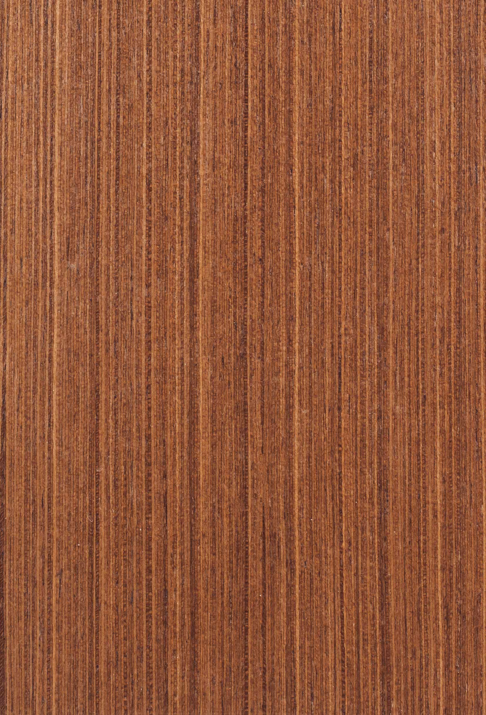 Орех мелкорадиальный