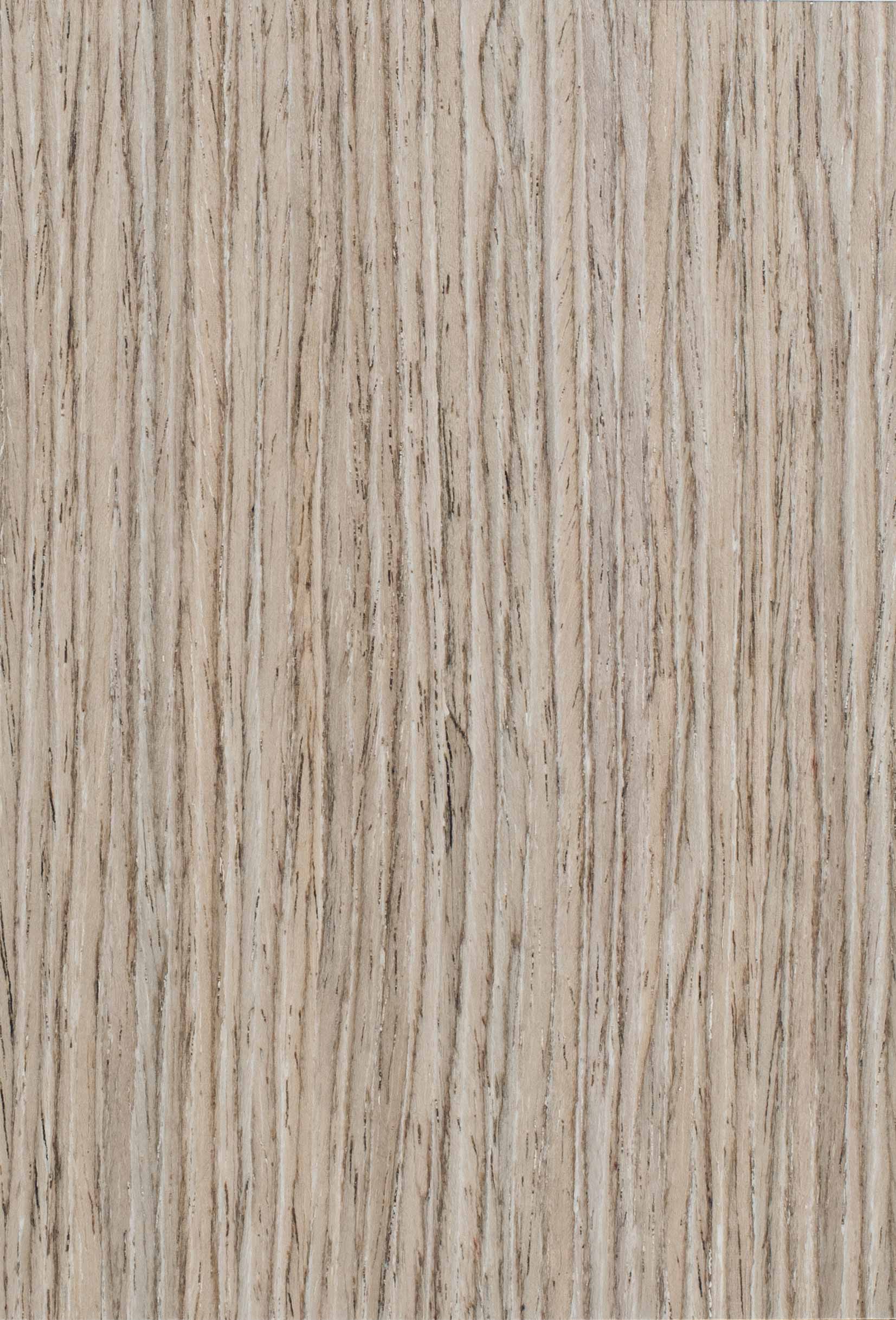 Дуб северный