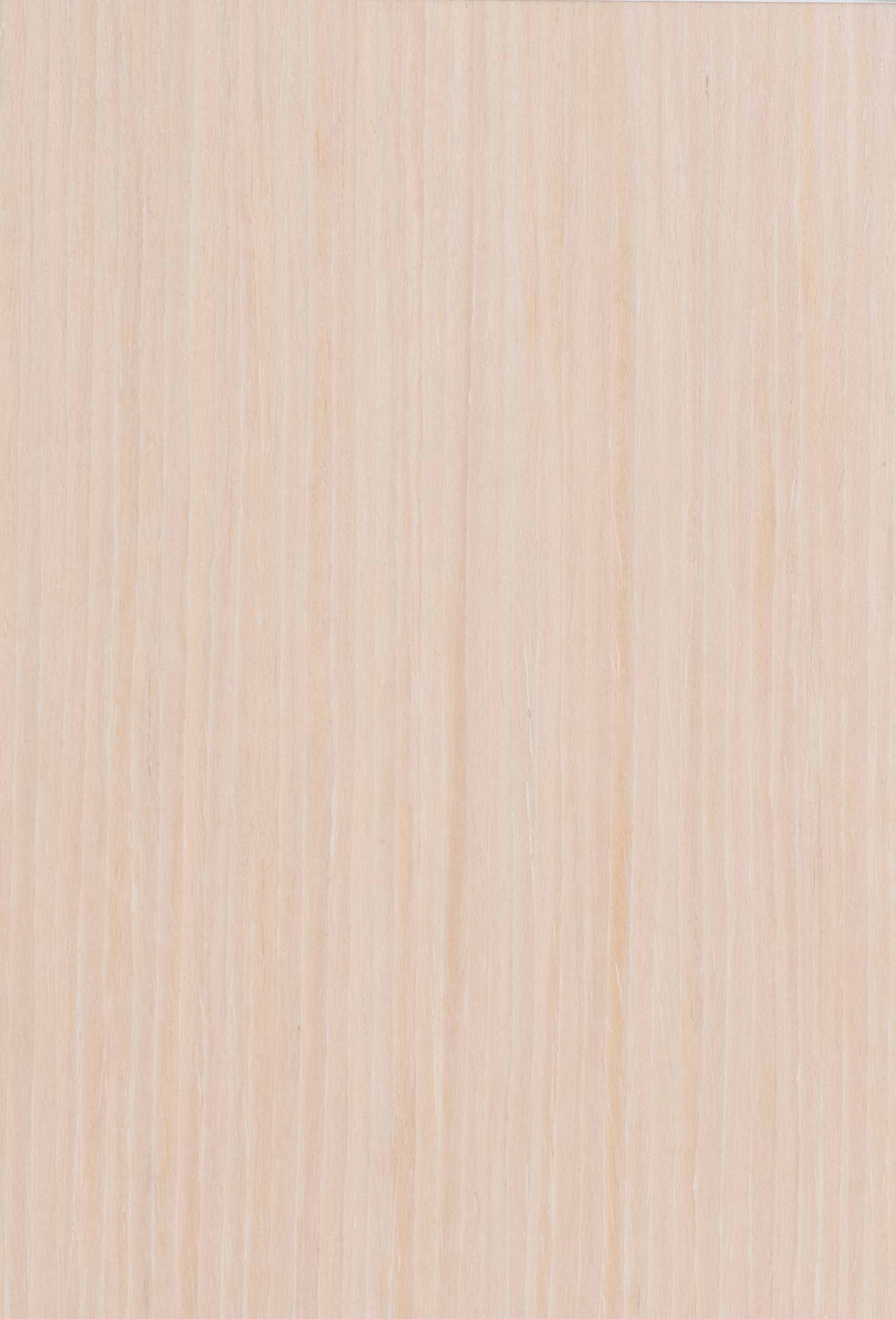 Дуб выбеленный